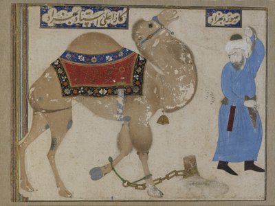 Fettered Camel and Keeper, Safavid Period by Persian School
